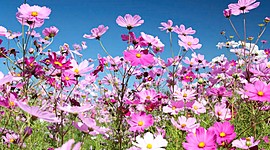 Timeline: Значимые даты семьи в 2019 году