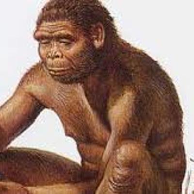 Timeline: LA STORIA DELL'UOMO