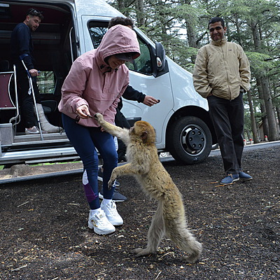 Timeline: Prueba de línea del tiempo