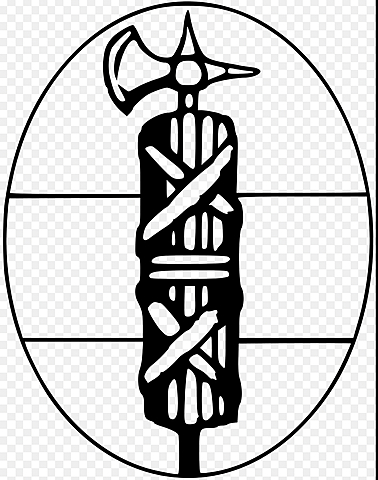 I fasci di combattimento