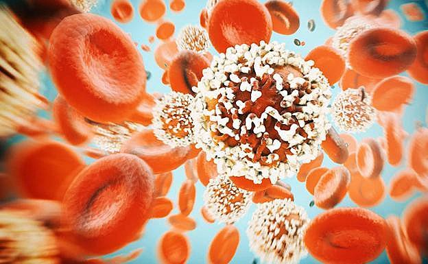 Inmunoterapia contra el cáncer