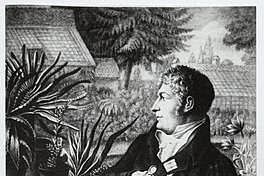 HISTORIA DE LAS PLANTAS, CLIMA Y SUELO