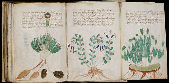 Manuscrito Voynich, el "gran reto"