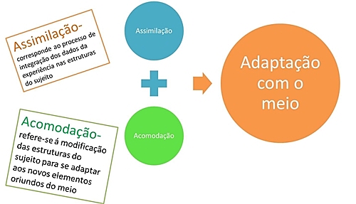 Piaget e a abordagem construtivista