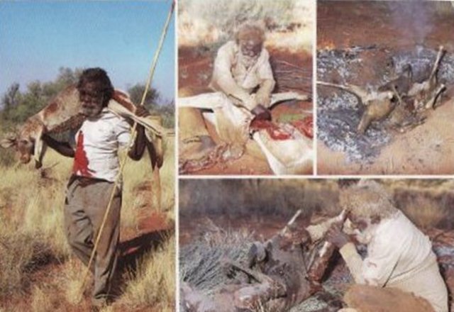 Aboriginal times- Hunting for their food
