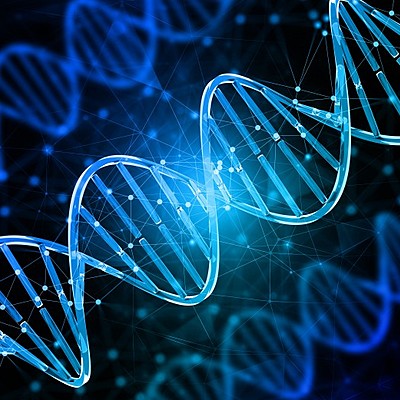 Timeline: Cronología de la genética.
