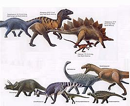 EXTINCION DE LOS DINOSAURIOS
