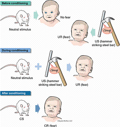 TEORÍA ASOCIACIONISTA