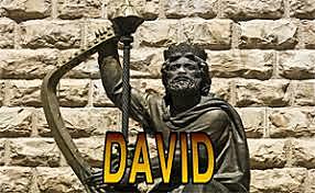 David