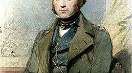 Timeline: Teories relatives a l'origen de la vida