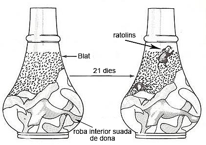 Generació espontània