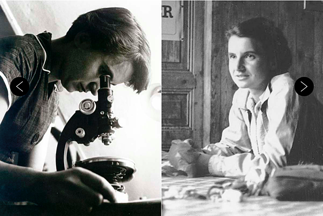 ROSALIND FRANKLIN
