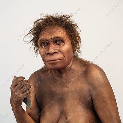 Homo Rhodesiensis