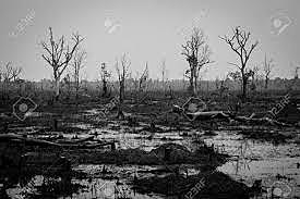 Enfoque de " satisfacción de necesidades básicas"