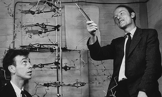 Francis Crick y James Watson.