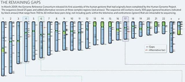 El genoma humano... al completo.