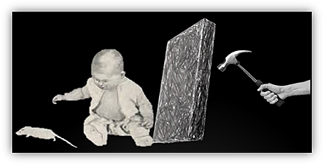 El Caso del Pequeño Albert