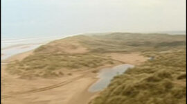 Timeline: Organisations