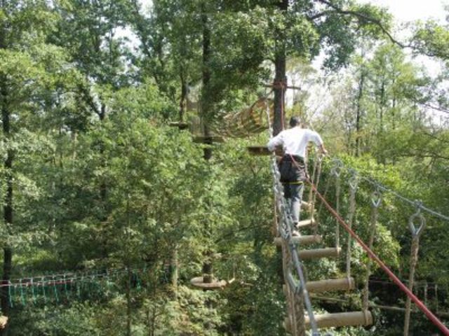 It was a really awesome adventure park!