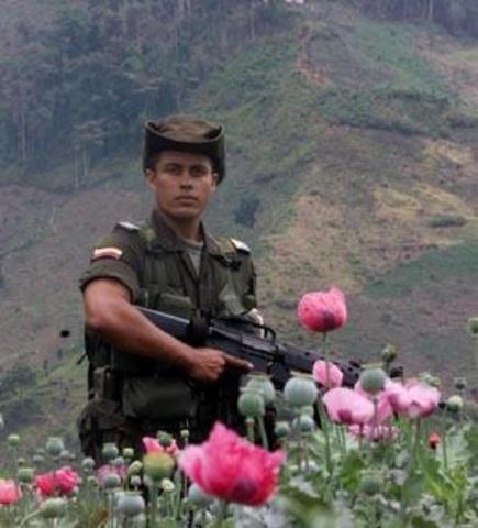 El empiezo de trafico de drogas