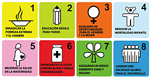 Cumbre del milenio y metas del milenio