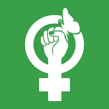 El enfoque de "Empoderamiento" (medianos de 1970 y 1980)