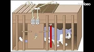 Caja problema de thorndike