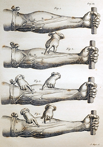 Circulación de la sangre.