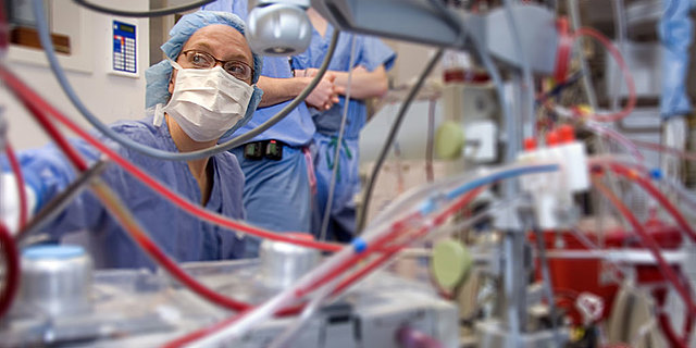 Cardiovascular Perfusion timeline | Timetoast timelines
