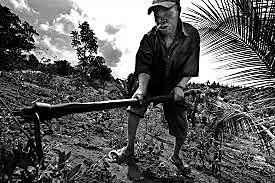 Enfoque del "desarrollo humano"/ Parte II