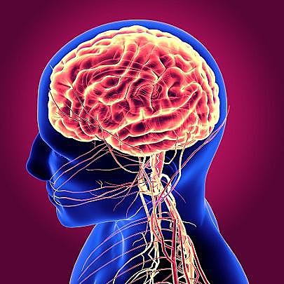 Desorden moral y Social