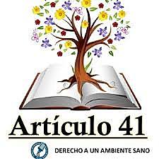 Artículo 41