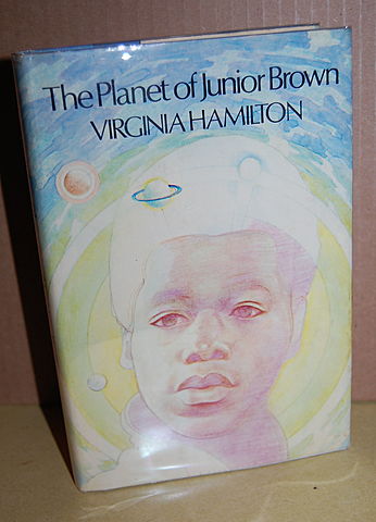 The Planet of Junior Brown