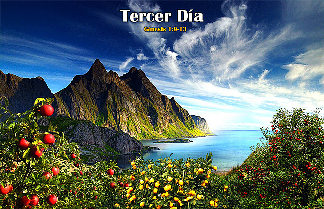 "Día 3 de la Creación"