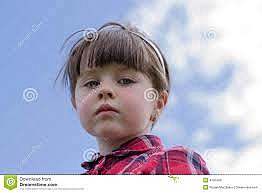 Maya decides to go to the museum to end see what is happening