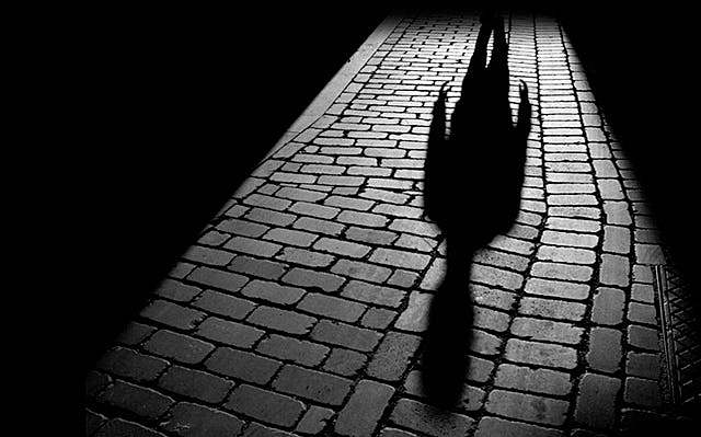 Maya sees a person in the bridge that gets to the museum