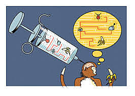 MIEMBROS ROBOTICOS CONTROLADOS POR EL CEREBRO