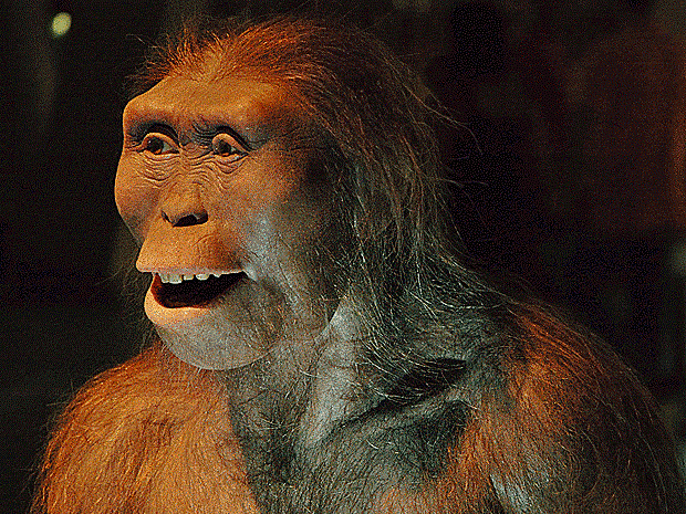 homínido más antiguo.