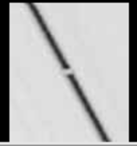 Pan discovered by Showalter