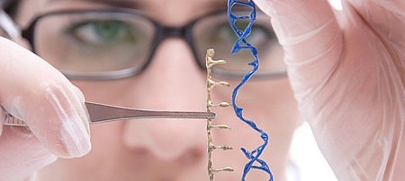 pruba en humanos de Crispr