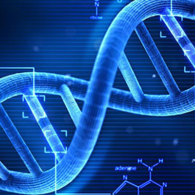 Timeline: Avances en el conocimiento del ADN