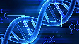 Timeline: Avances en el conocimiento del ADN