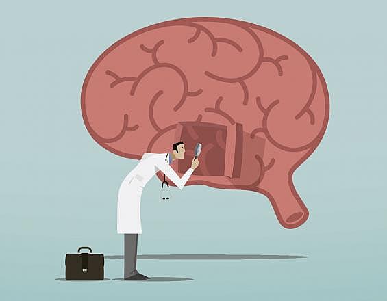 El grupo de trabajo de R. Spitzer