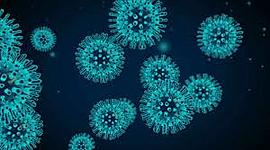 Timeline: Coronavirus