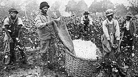 Timeline: SLAVERY IN AMERICA