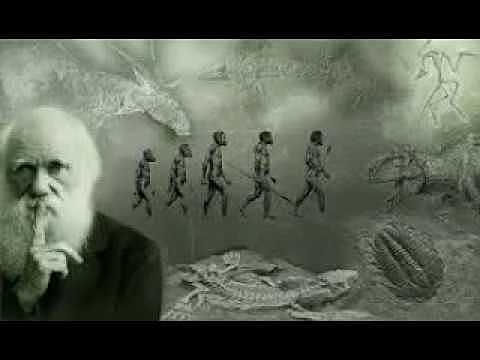 Teoría de la Evolución