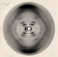 Primera foto del ADN