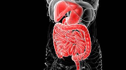 Transplantan un aparato digestivo completo