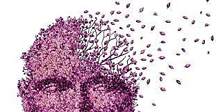 DSM Promoción (1900-1938)