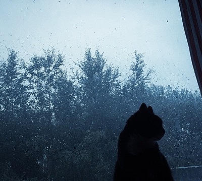 Monet's painting became more complex